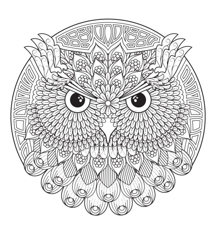 Owl Mandala Coloring Page