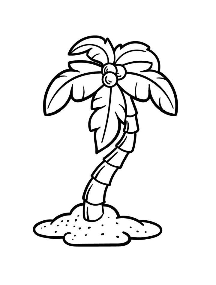 Palm Tree Coloring Pages for Toddlers