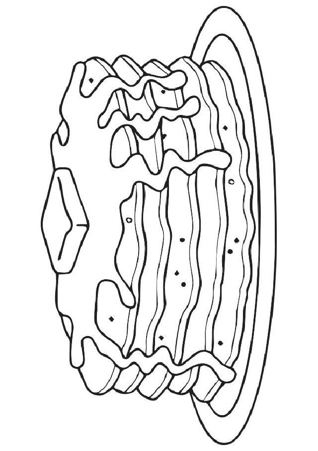 Блины шаблон для раскрашивания. Блины раскраска для детей. Блинчик раскраска для детей. Блины для раскрашивания для детей. Блинчики раскраска.