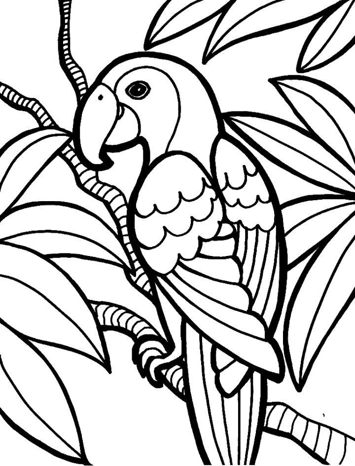 Parrot Bird Coloring Page