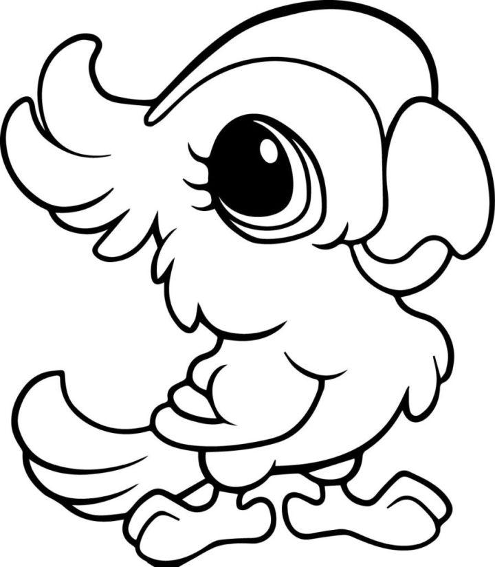 Parrot Coloring Pages and Activities