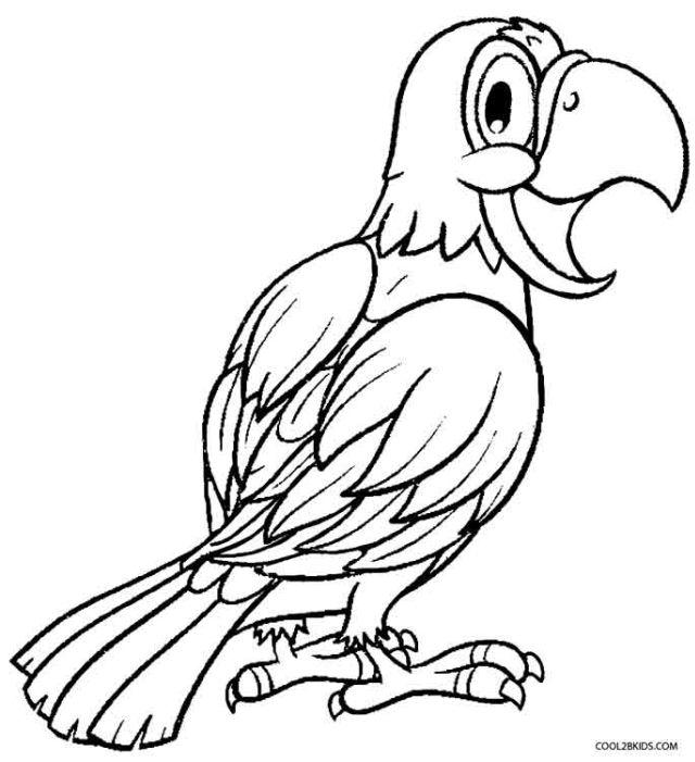 Parrot Coloring Pages for Kids