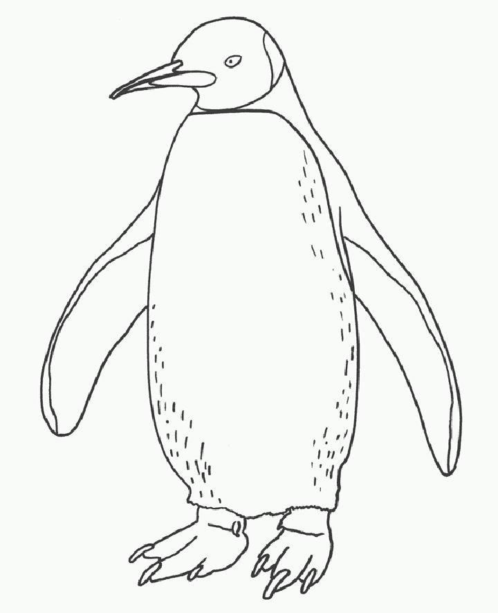 Penguin Coloring Pages To Print