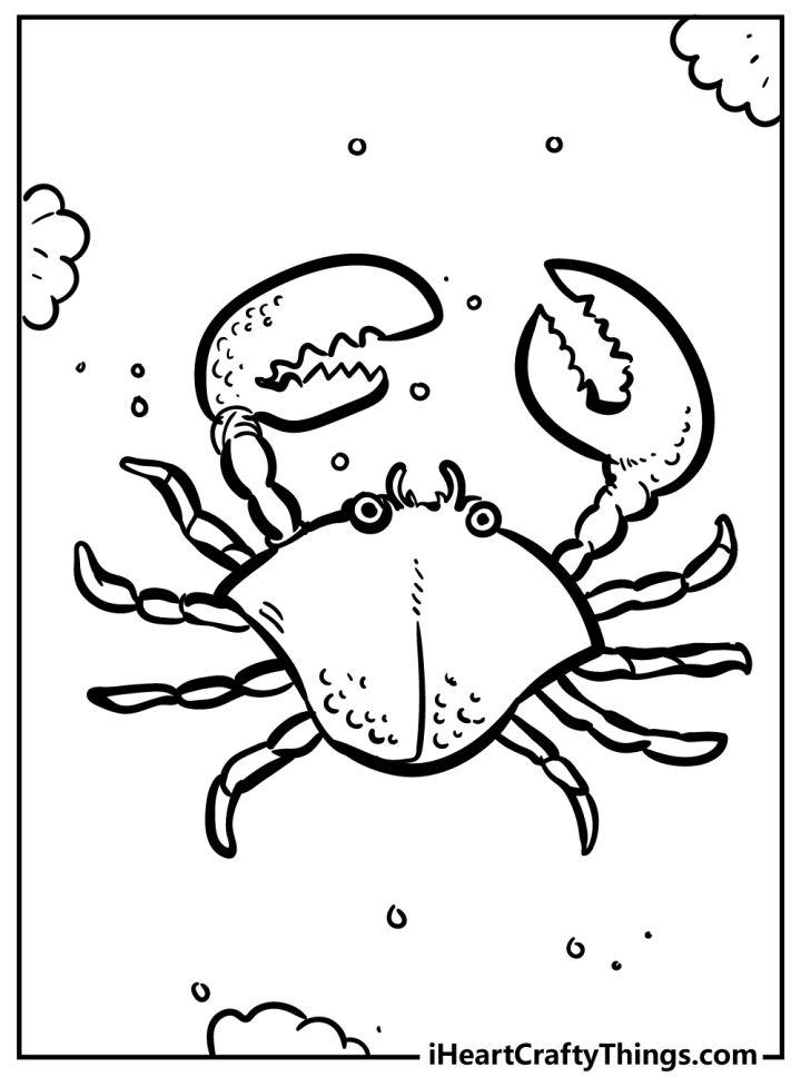 Pictures of Crabs to Color