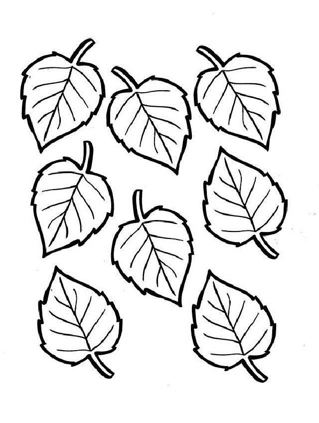 Pot Leaf Coloring Pages and Activities