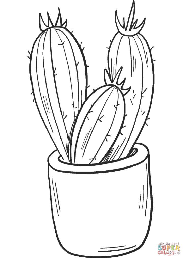 15 Free Cactus Coloring Pages for Kids and Adults