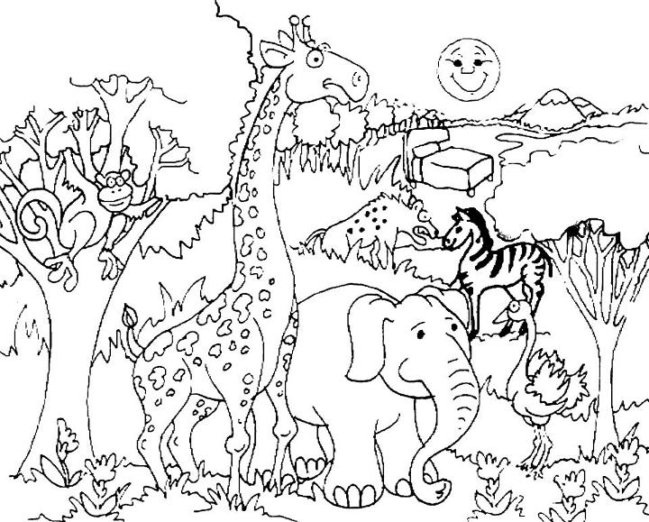 Preschool Jungle Coloring Pages