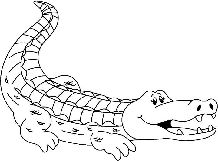 Printable Alligator Coloring Sheets