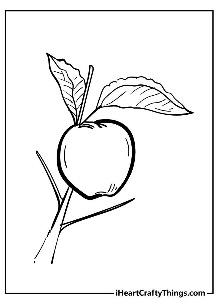 Printable Apple Coloring Book Pages