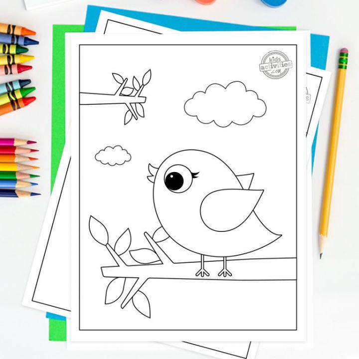 Printable Baby Bird Coloring Sheets