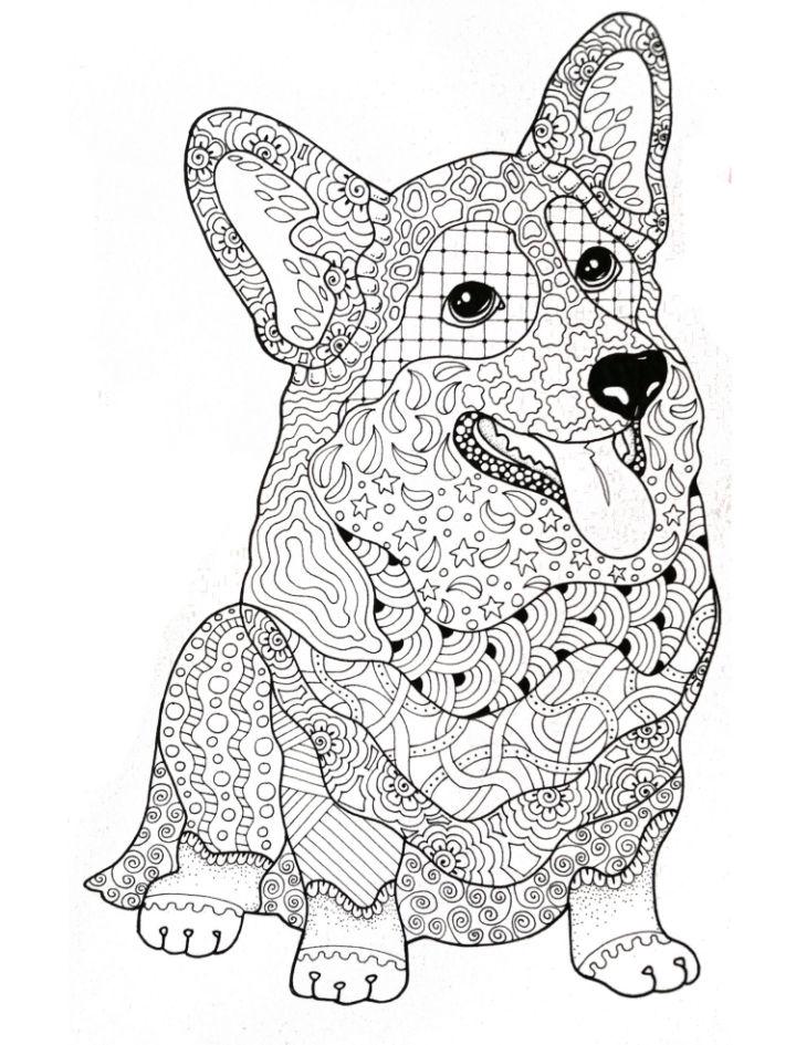 Printable Corgi Coloring Pages for Adults