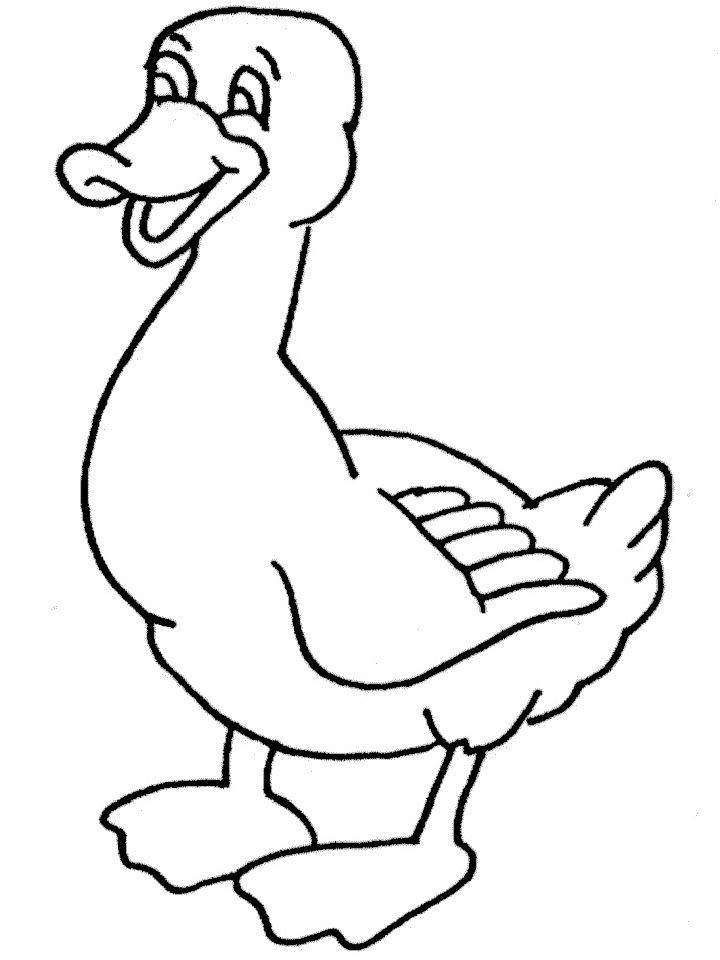 Printable Duck Coloring Pages