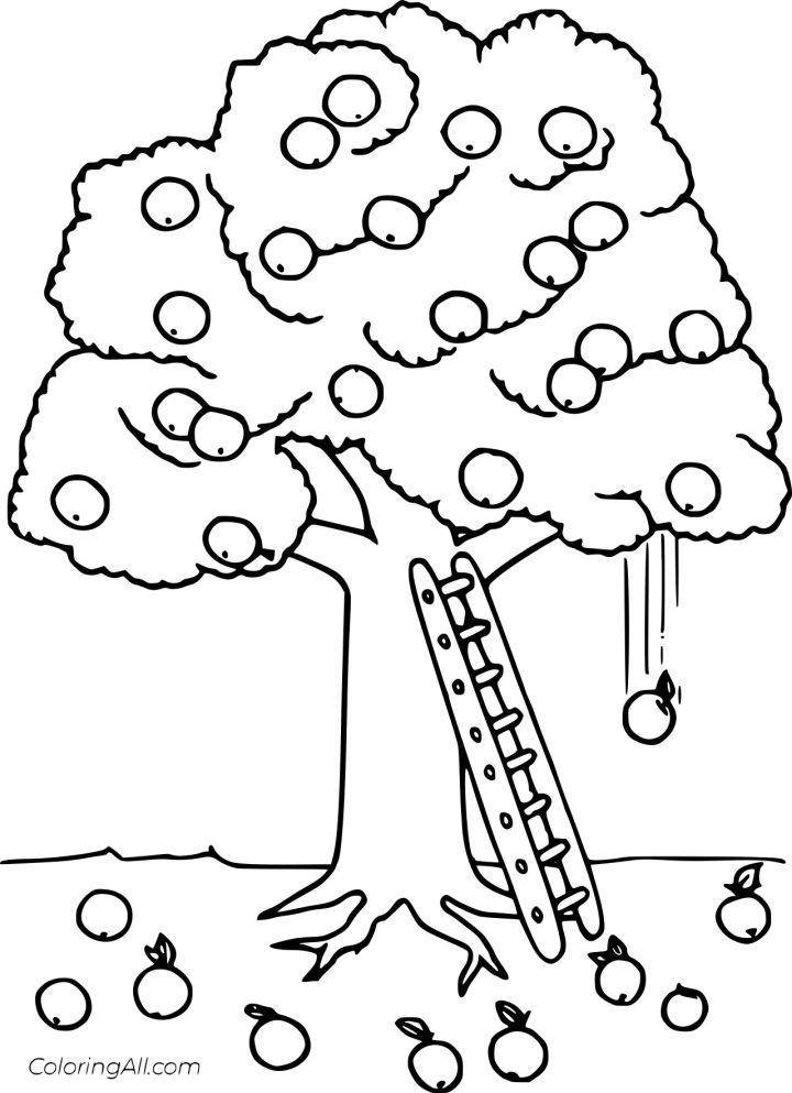 Printable Fall Apple Coloring Pages