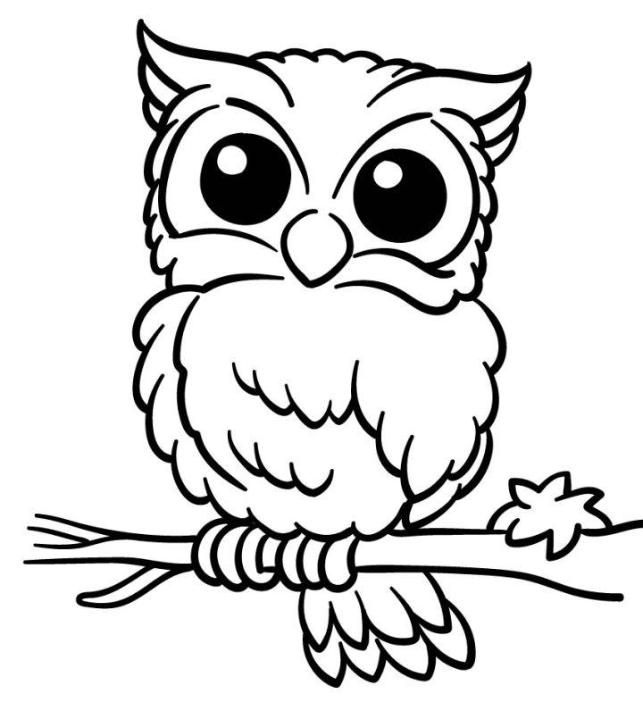 Printable Owl Coloring Sheets