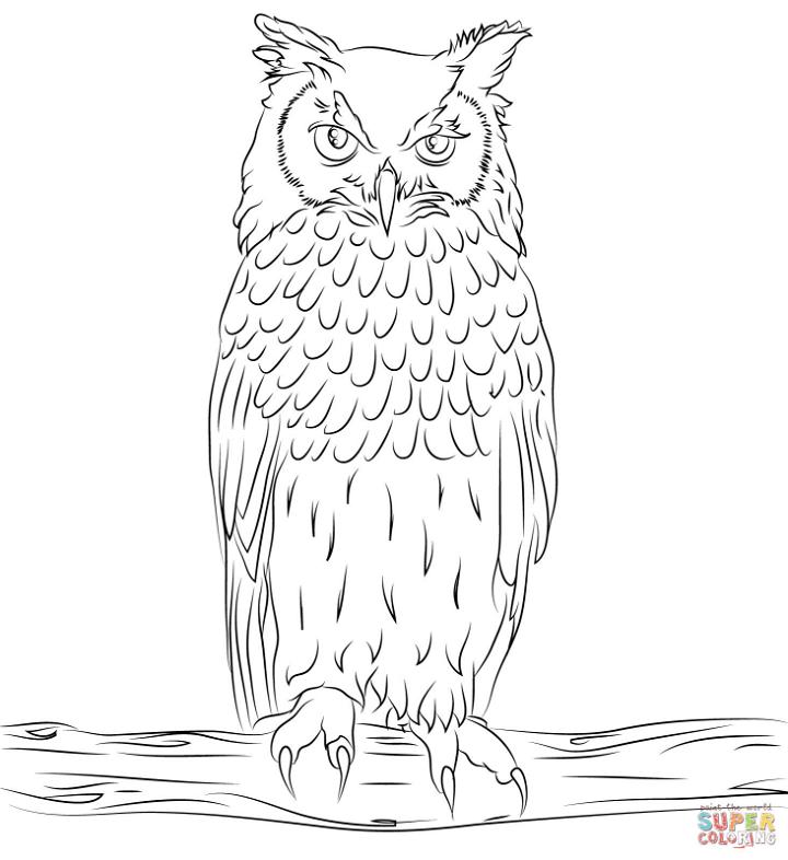 Printable Owl Pictures To Color