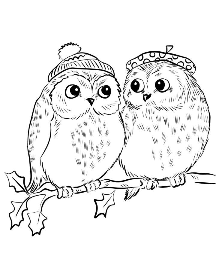 Printable Owl Pictures to Color