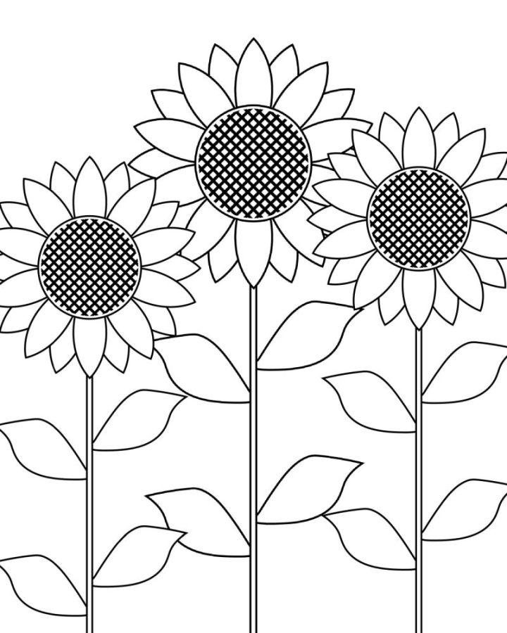 Printable Sunflower Garden Coloring Page