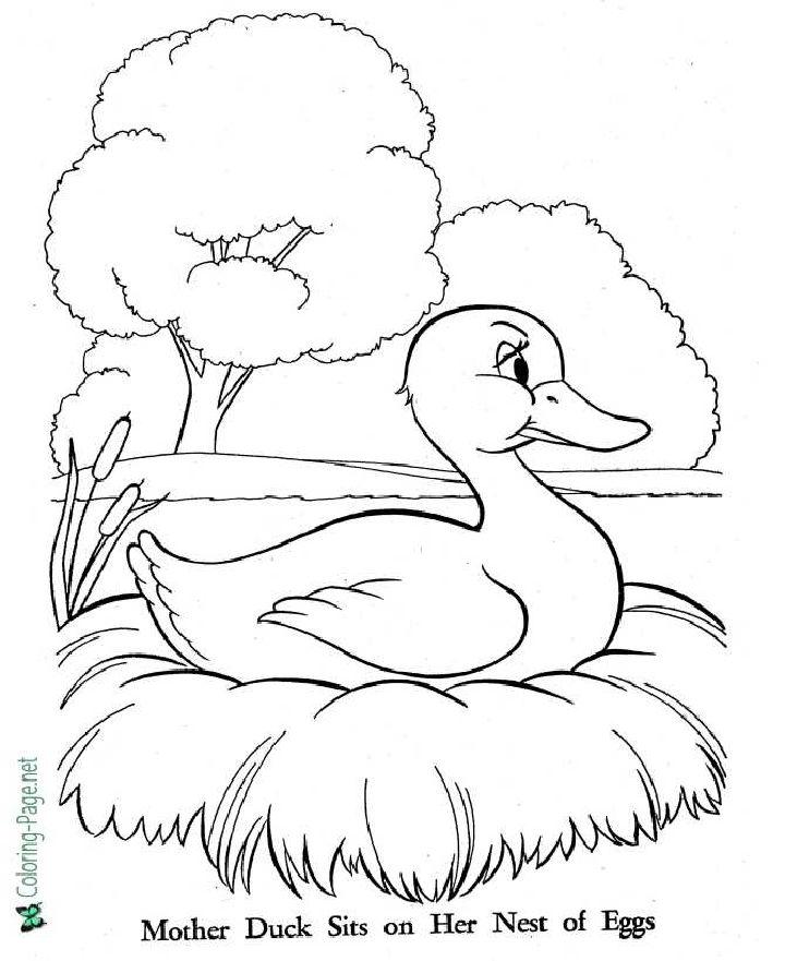 Printable Ugly Duck Coloring Pages