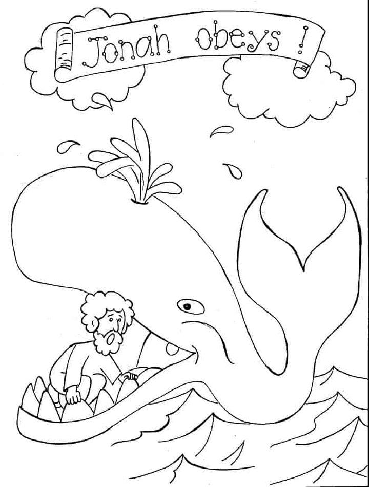 Printable Whale Coloring Pages PDF
