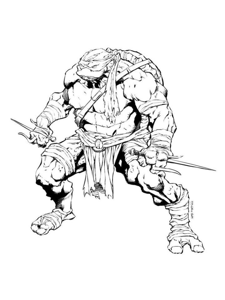 Raphael Ninja Turtle Coloring Pages for Adults