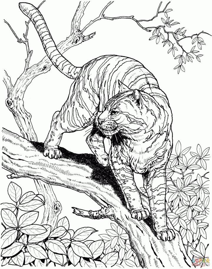 Realistic Coloring Pages for Animals in the Jungle