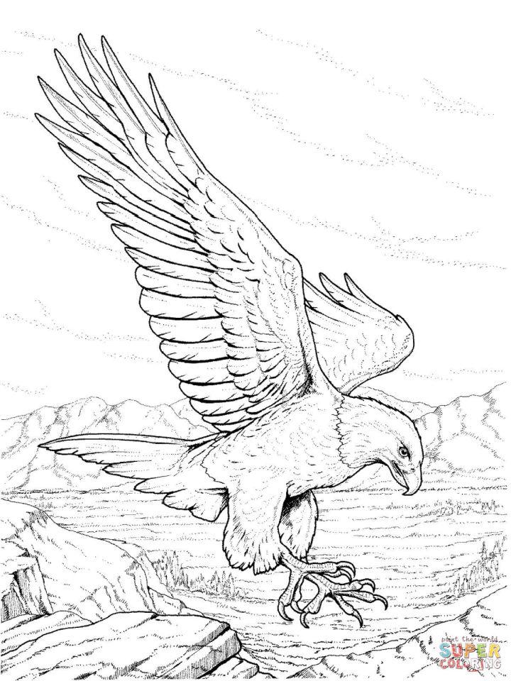 Realistic Eagle Coloring Pages