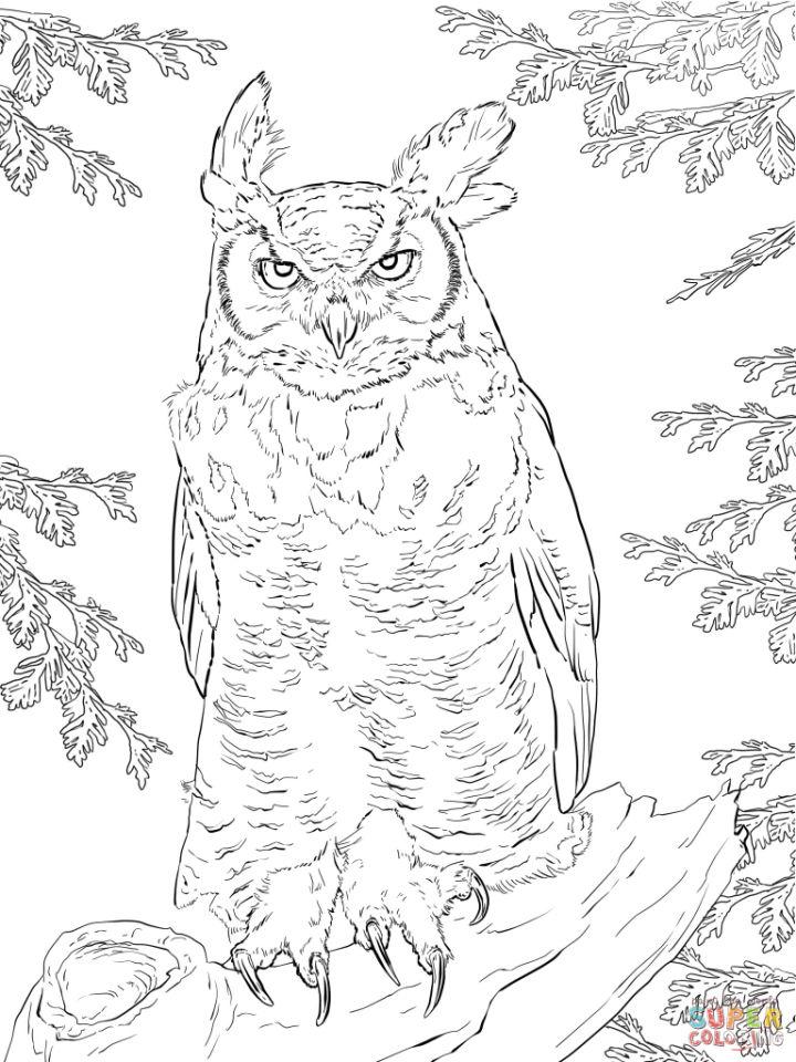 Realistic Great Horned Owl Coloring Page