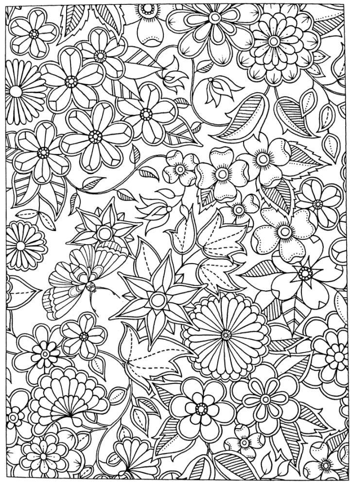 Secret Garden Coloring Pages and Activities
