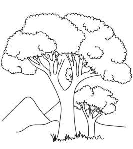 25 Free Tree Coloring Pages for Kids and Adults