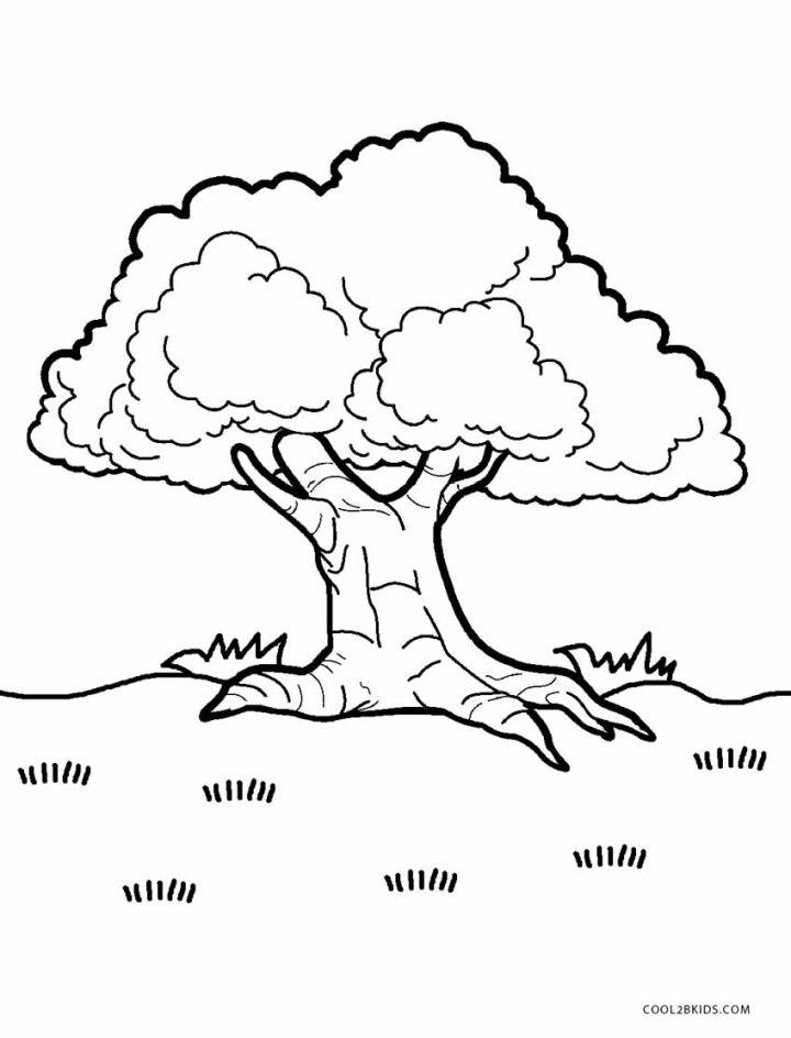 Tree Coloring Pages for Kids