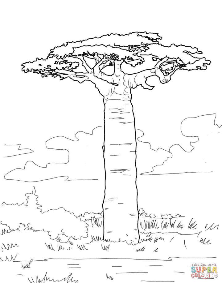 Tree Pictures to Color and Print