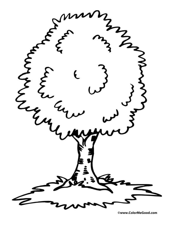Trees Coloring Book Pages