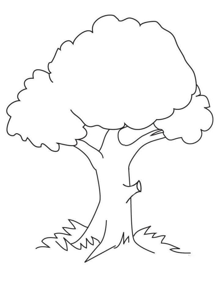 Trees Coloring Pages for Toddlers
