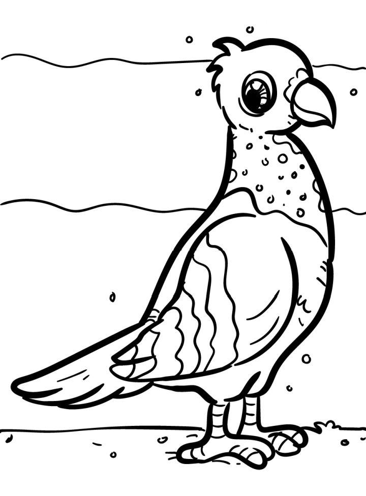 Unique Bird Coloring Sheet