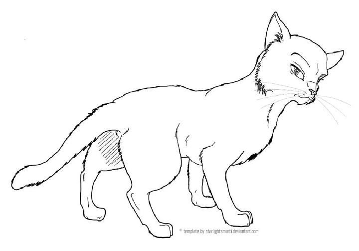Warrior Cat Coloring Book Pages