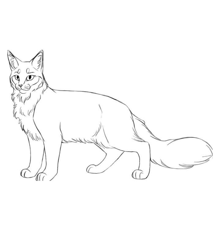 Warrior Cat Coloring Pages to Print