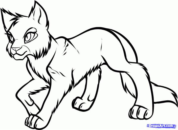 Warrior Cat Pictures to Color and Print