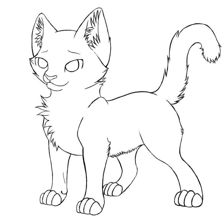 Warrior Cats Pictures to Color