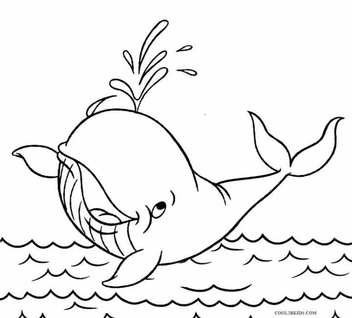 Whale Coloring Pages and Printables