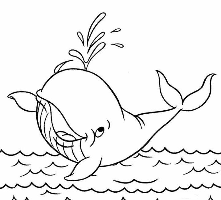 Whale Coloring Sheets