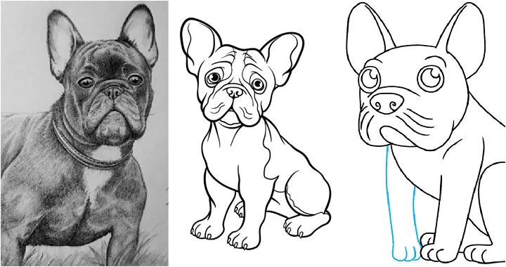 20 Easy French Bulldog Drawing Ideas - How to Draw a French Bulldog