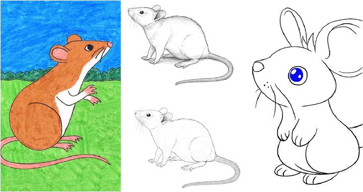 25 Easy Mouse Drawing Ideas - How to Draw a Mouse