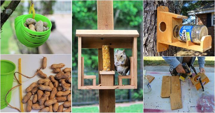 easy squirrel feeder projects and ideas