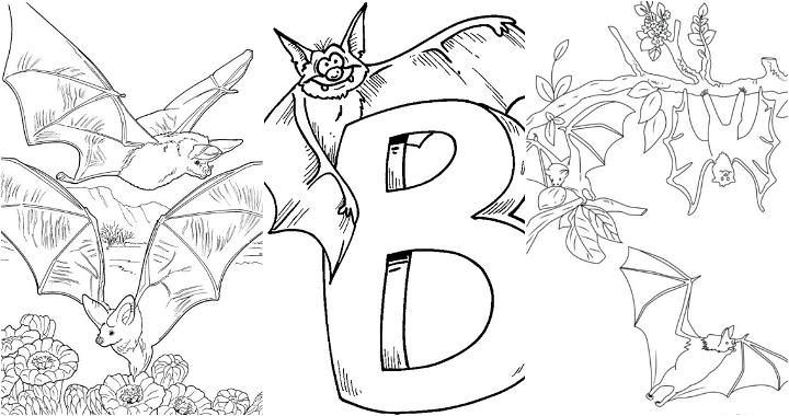 25 Easy and Free Bat Coloring Pages for Kids and Adults - Cute Bat Coloring Pictures and Sheets Printable