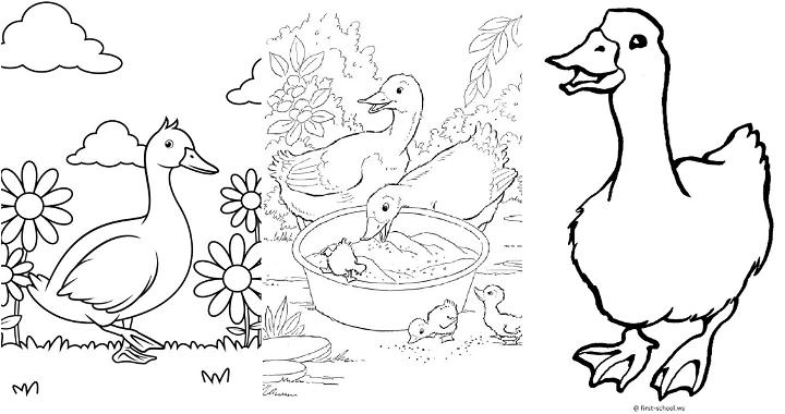 free duck coloring pages to print