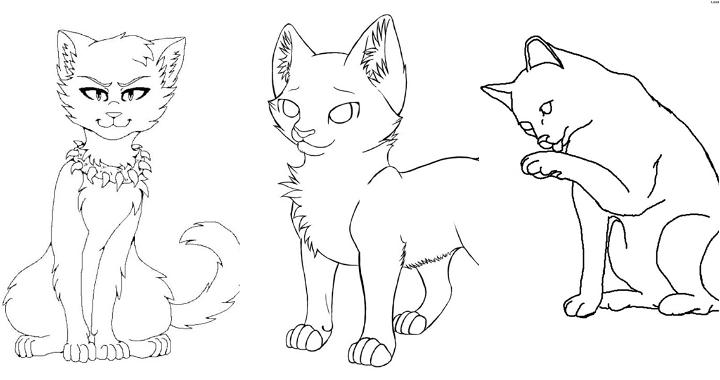 free printable warrior cat coloring pages
