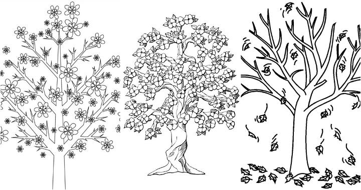 25 Easy and Free Tree Coloring Pages for Kids and Adults - Cute Tree Coloring Pictures and Sheets Printable