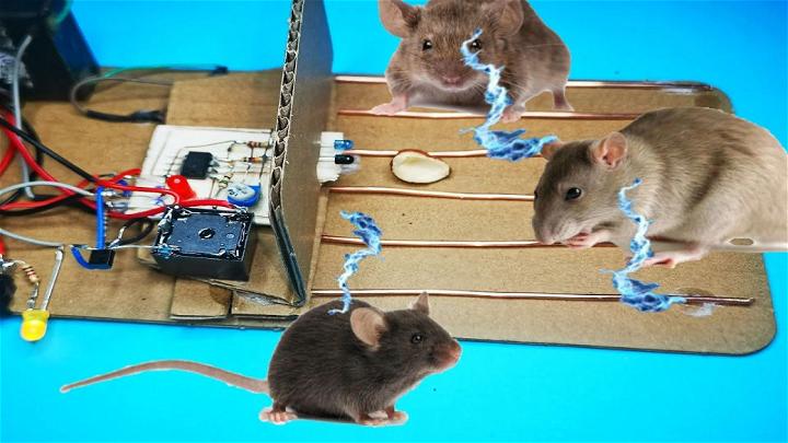 Best Homemade Electric Mouse Trap