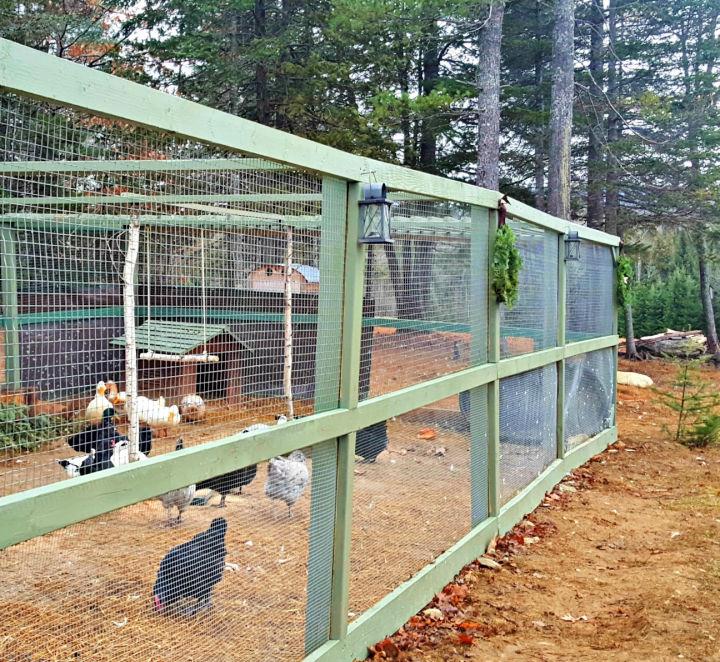 DIY Predator Proof Chicken Run