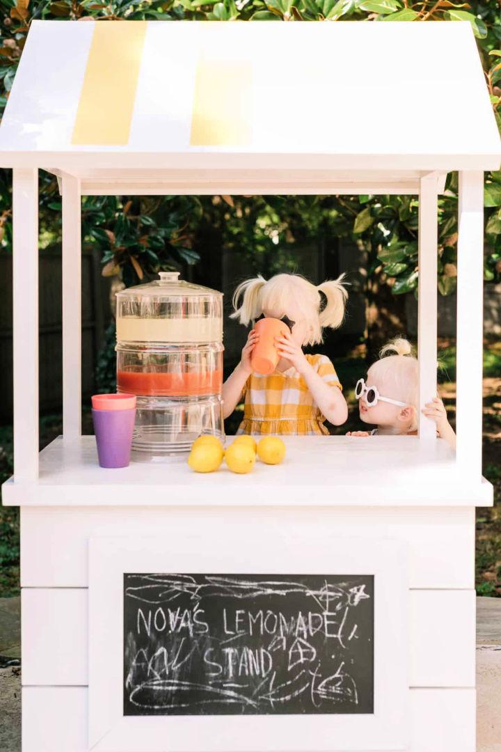Cute Rolling Lemonade Stand